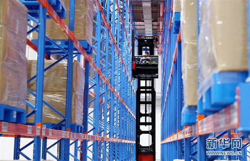 构建双循环，闯出新天地——从长三角叉车产业看中国外贸新动能